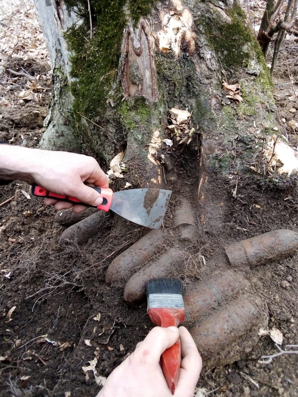 fc07e29a-2977-4e6b-8add-45a98709ba0f