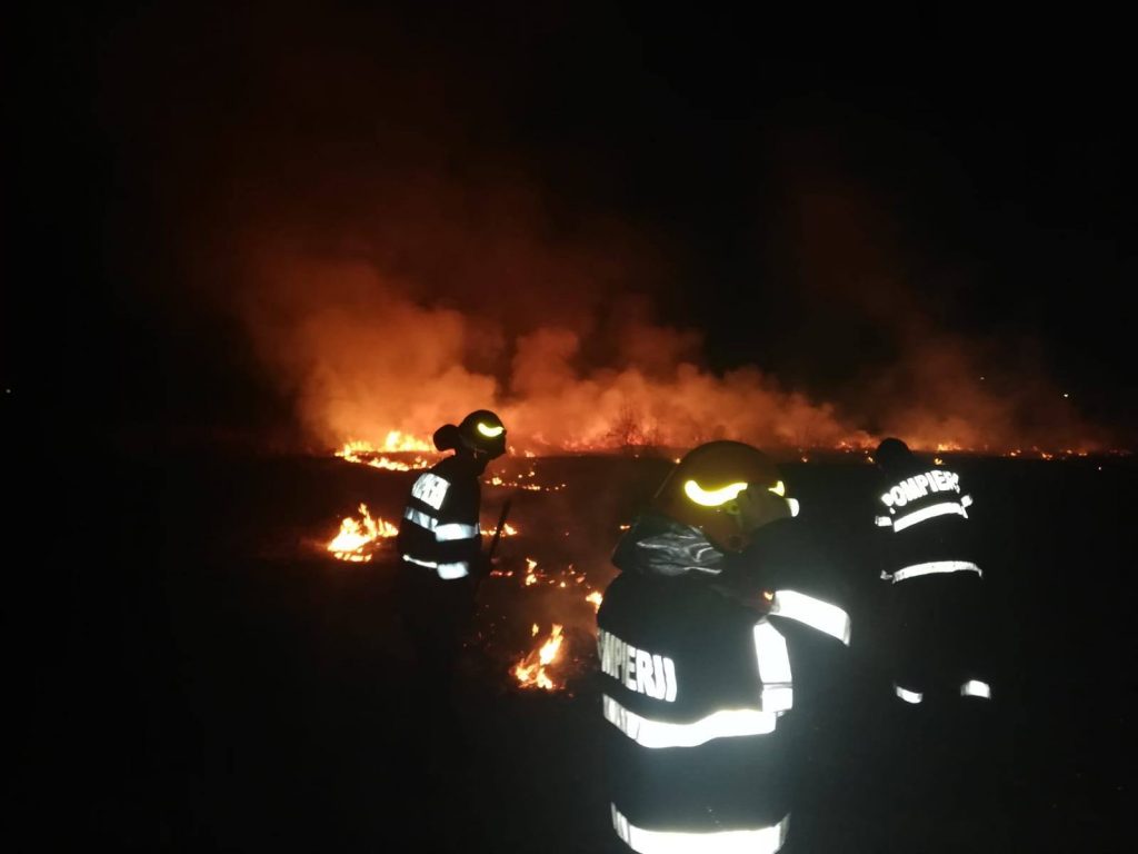 53630610_1013663858836560_8378874199652958208_o