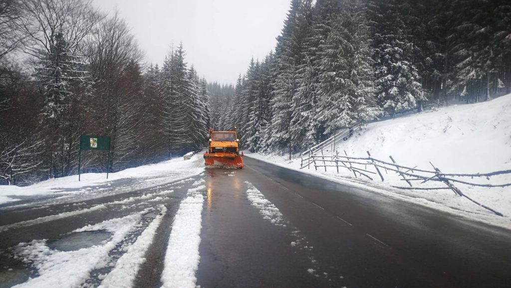 59648582_818960471819177_7559979401236971520_o