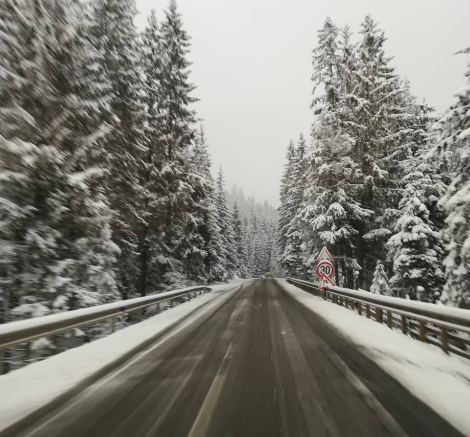 57216604_806861039695787_4836030976549191680_n