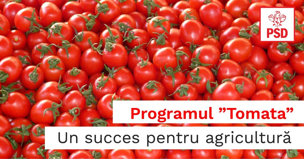 60337039_2503858719880276_3518223890742509568_o