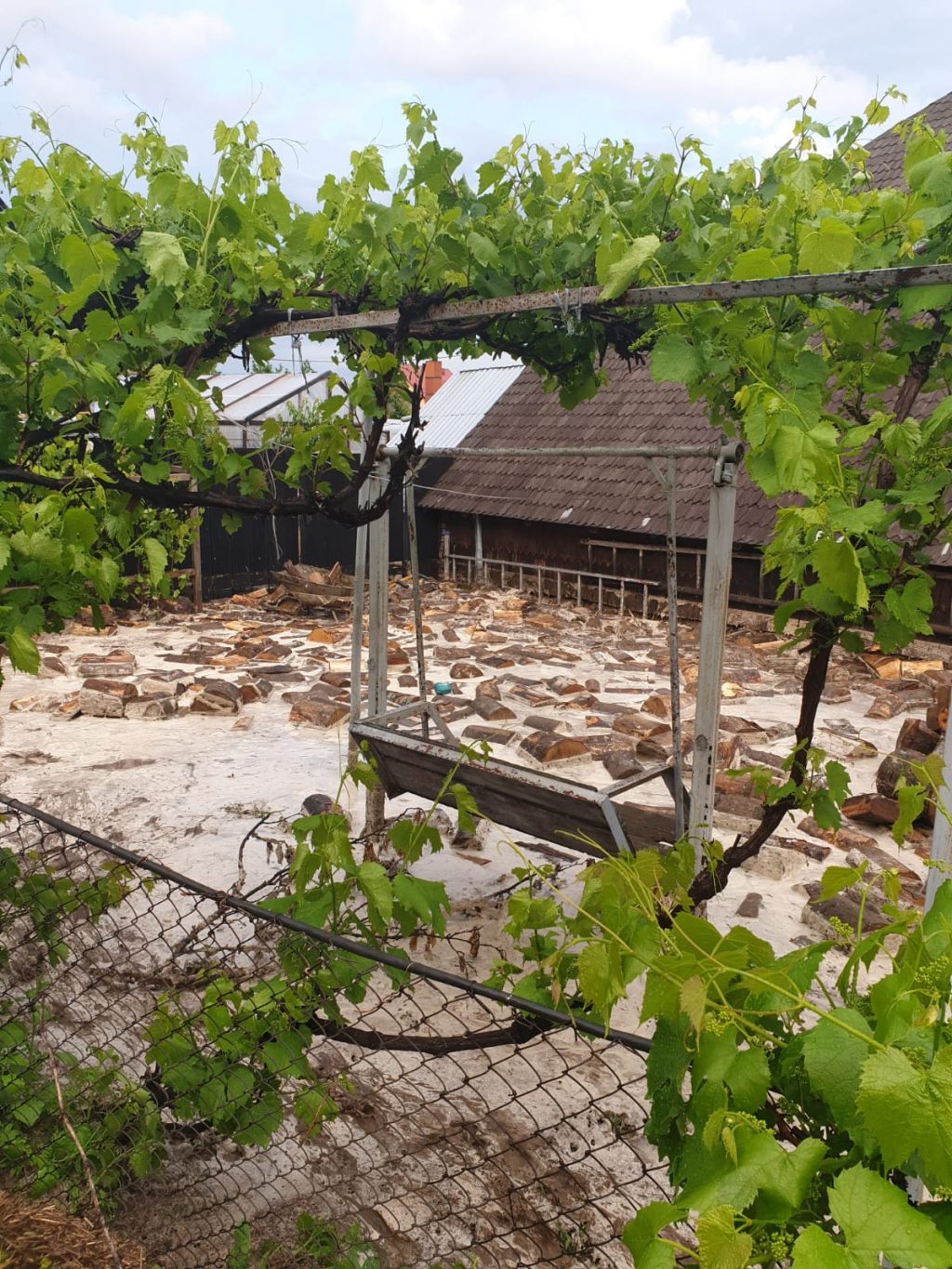 f89cbe3e-56d9-4e21-b0ff-1fa01ac2828d