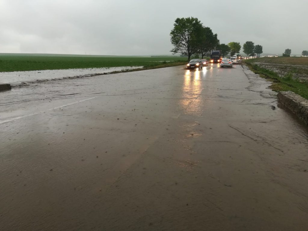 61657214_837247296657161_3299930004669857792_o