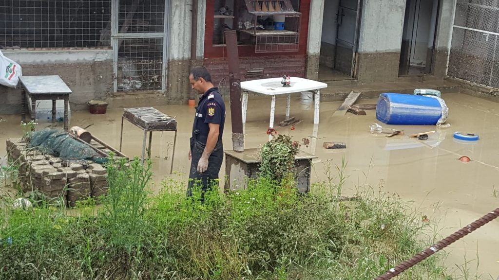 ee87d2cb-04dc-4a5d-be9a-27bfdf214c20