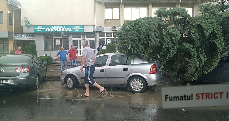 64921734_453809662068102_4876179789666320384_n