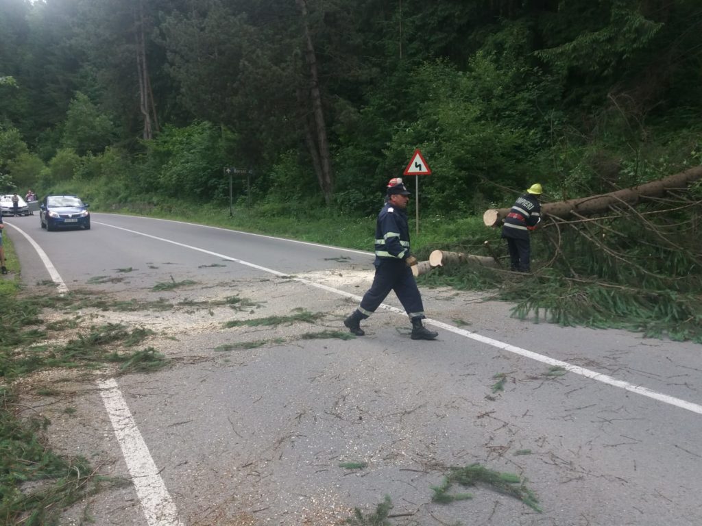 3a9f1c78-a4fc-4bd0-bd18-e2aae497f2b9