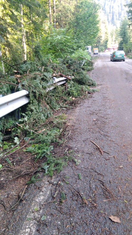 66098833_858411704540720_1126420160526155776_n