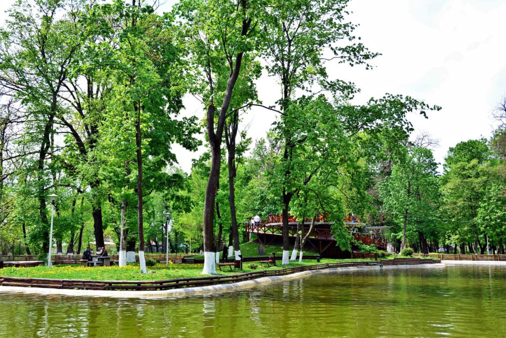 64665077_1028629374006364_6543905935616638976_o