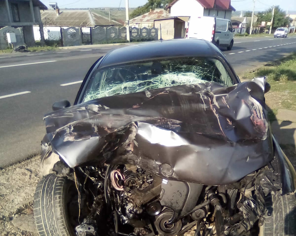 67661564_879343865780837_2217508786204049408_o