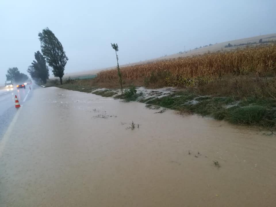 70885907_916158325432724_778054224981262336_n