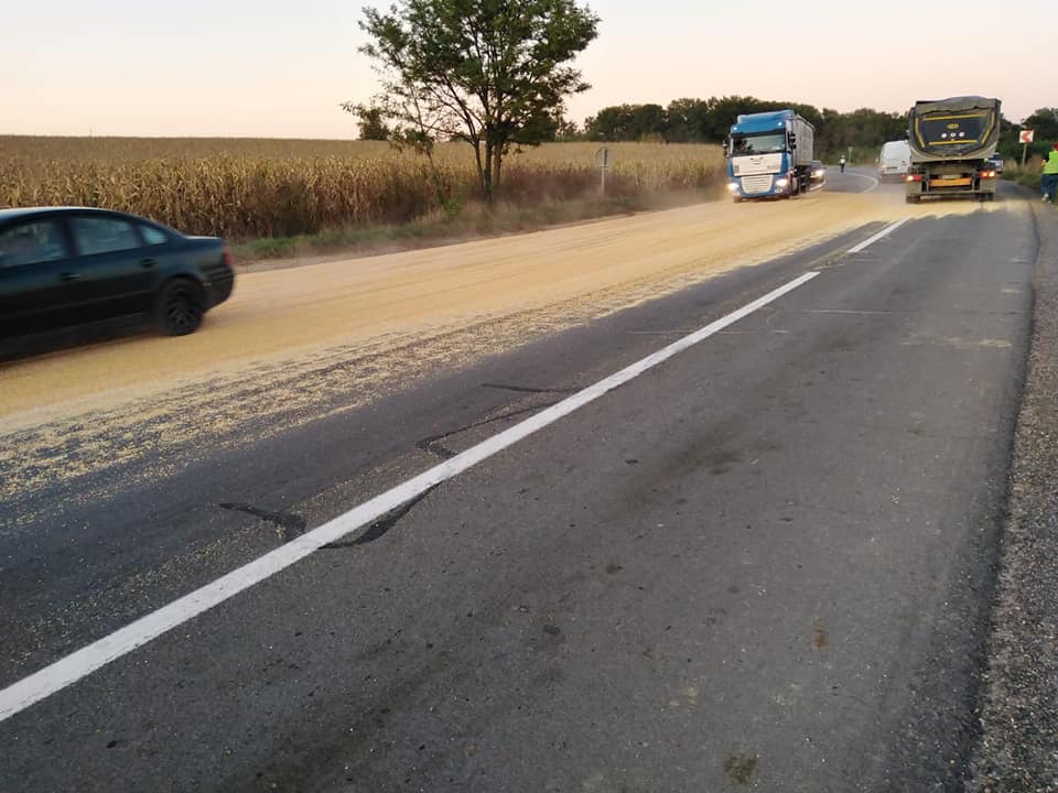 71118181_919598971755326_8613314822001393664_n