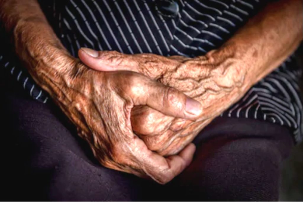 71141503_2455191151267871_2782236581207998464_o