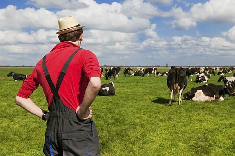 subventii-fermieri-APIA