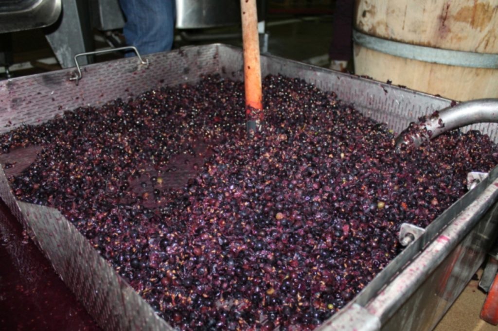 leova-o-femei-a-murit--dupa-ce-s-a-intoxicat-cu-dioxid-de-carbon-in-urma-fermentarii-vinului-1537106240