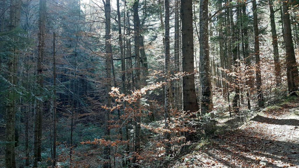 73256193_2625589220836340_5657597923228123136_n