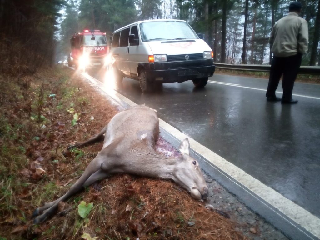 6853a562-a8e0-45a1-a831-672aa795366d