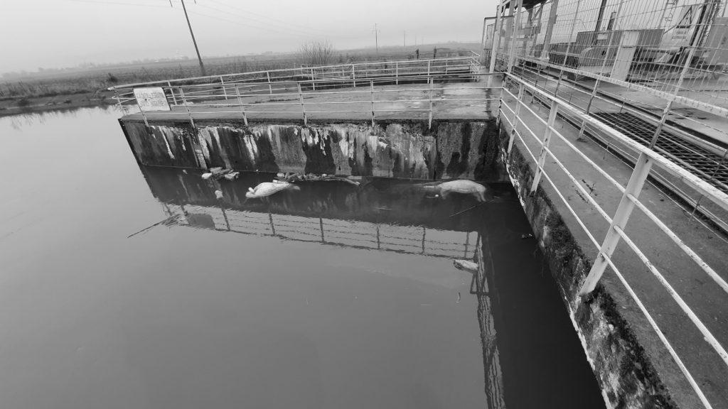 78387753_2695956393806674_4315960207084617728_n-1024x576