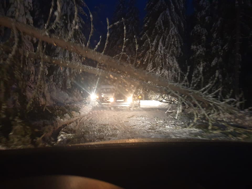 84882937_1255184501346049_6758339509378613248_n