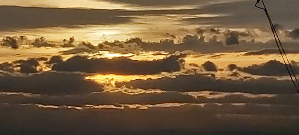 WhatsApp Image 2020-02-11 at 15.27.22