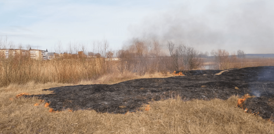 2020-02-23 at 18-39-17