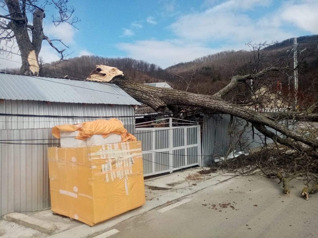 WhatsApp Image 2020-02-24 at 14.03.01