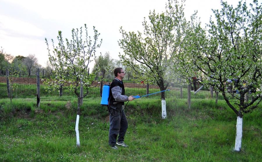 e76b19068b8a7b62bcd7955ba4e97874_XL