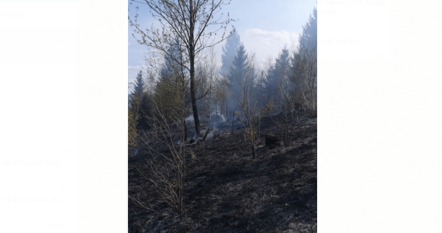 2020-05-12 at 08-50-32