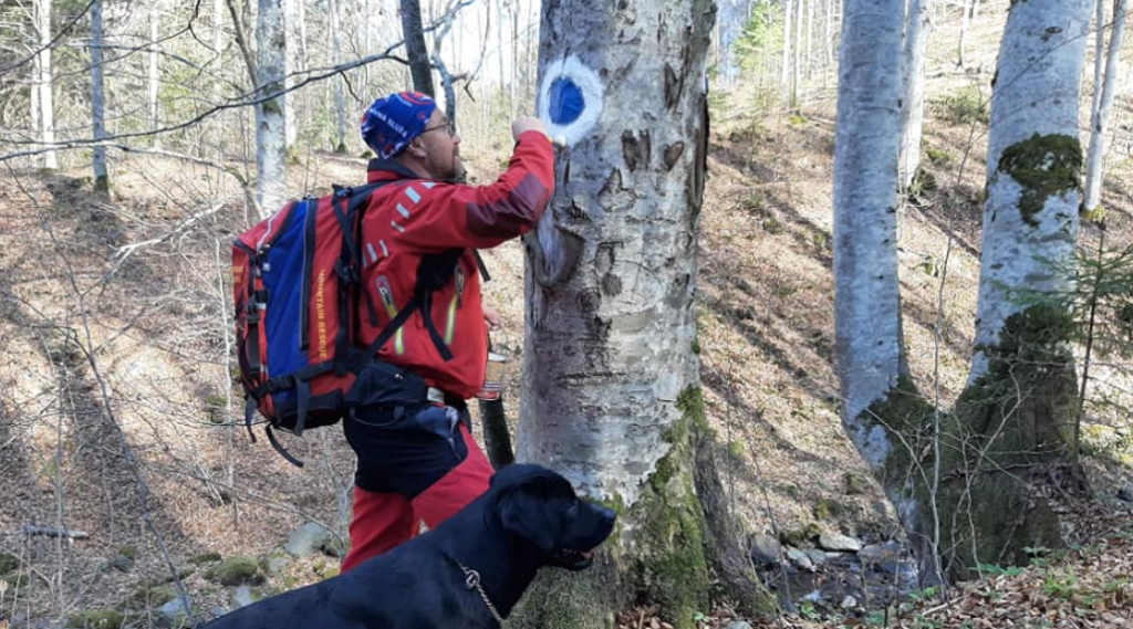 2020-05-25 at 12-19-53