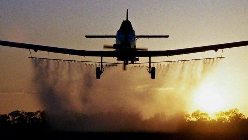 109834813_1317458245123474_2696773161359644789_n