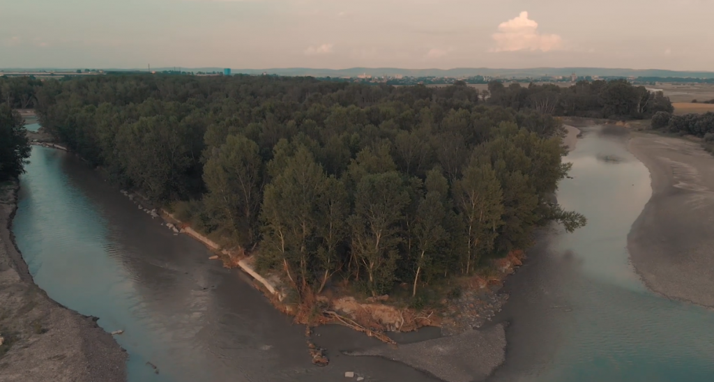 2020-09-08 at 08-31-37