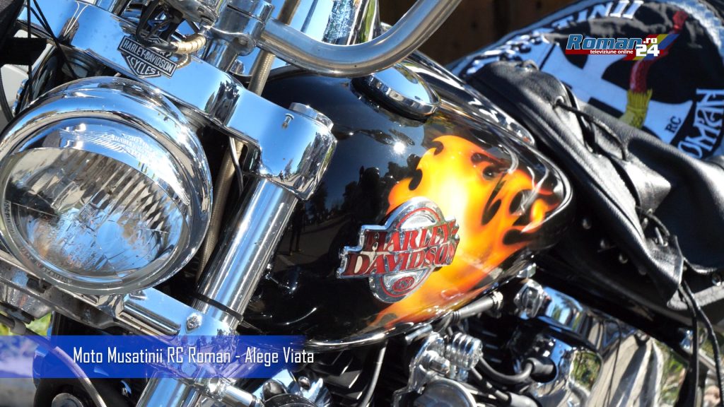 P1038088.00_04_37_42.Still001