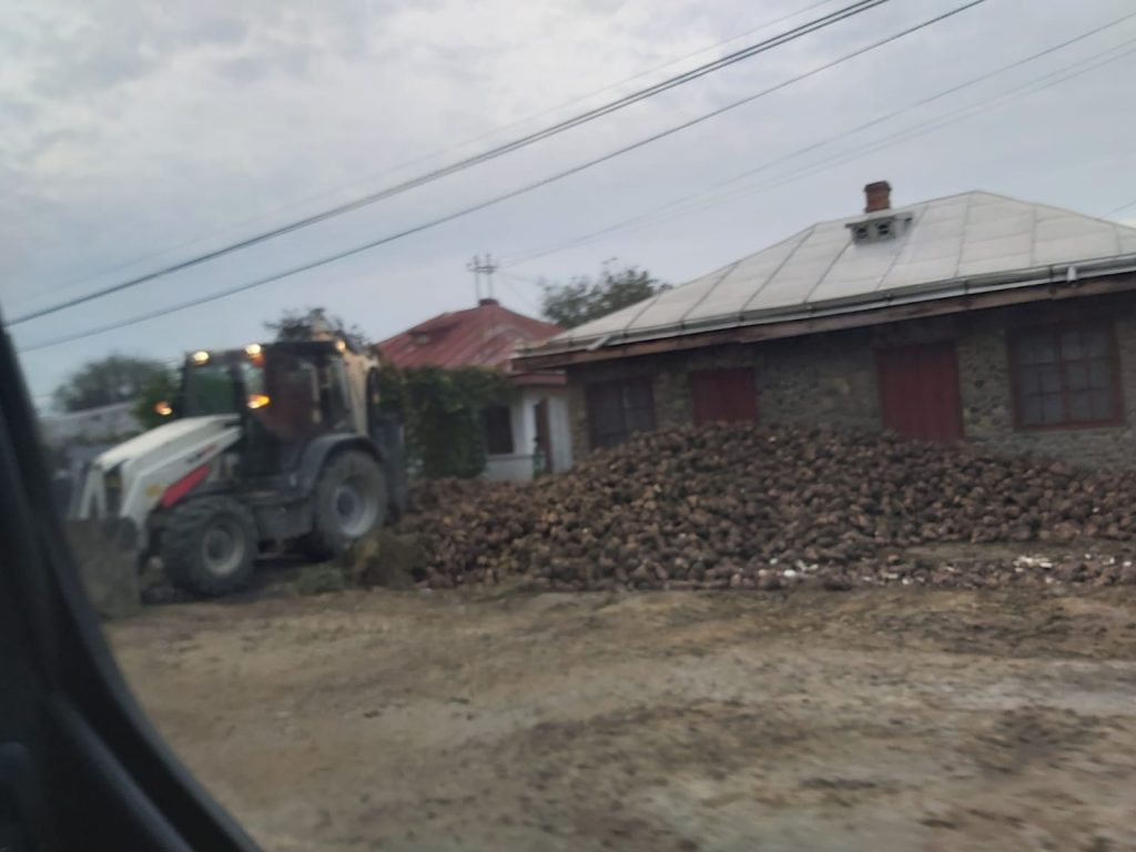 44913ee5-683b-4dcb-9469-489c28ab5401