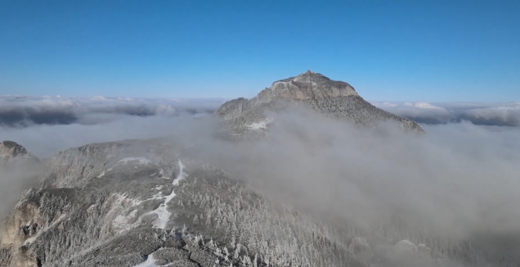 2020-12-16 at 13-10-09