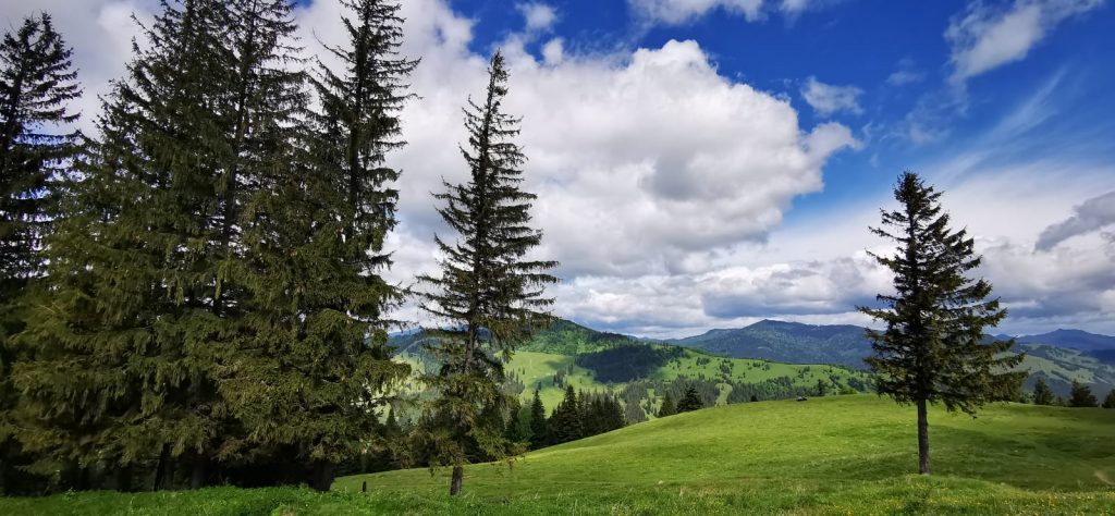 Solstițiul de vară 2021
