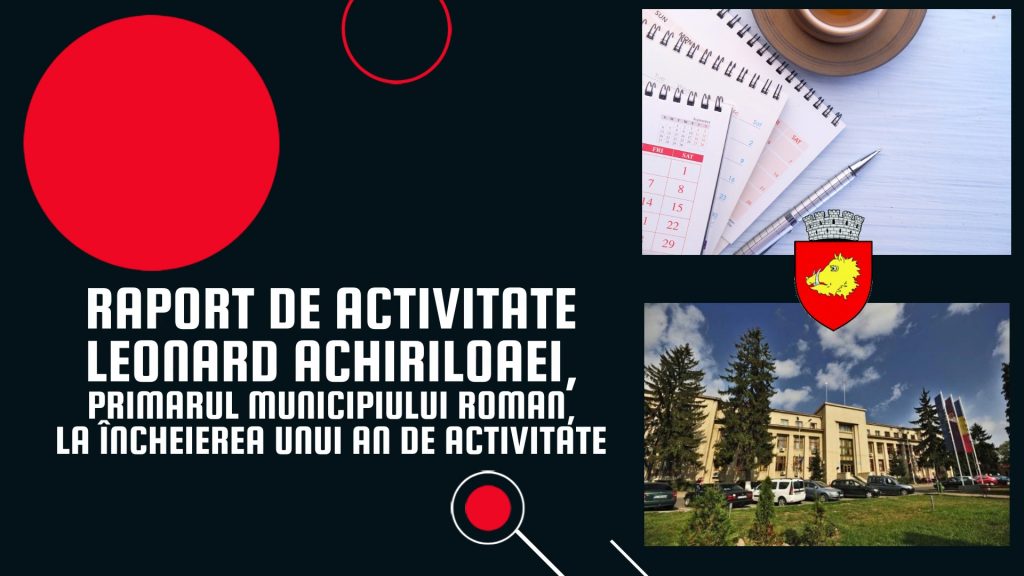 raport de activitate