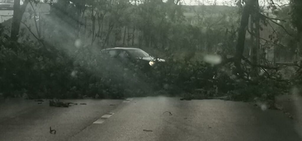 280078370_7487232094652588_2877136616543265704_n