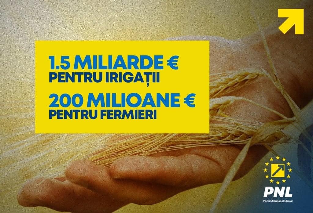 296034763_616103116538611_2377291165661781030_n