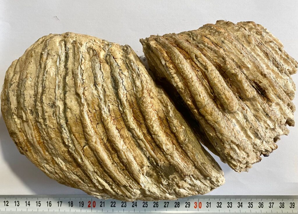 8c792457-fb64-4bc2-8be7-bc317d087e08