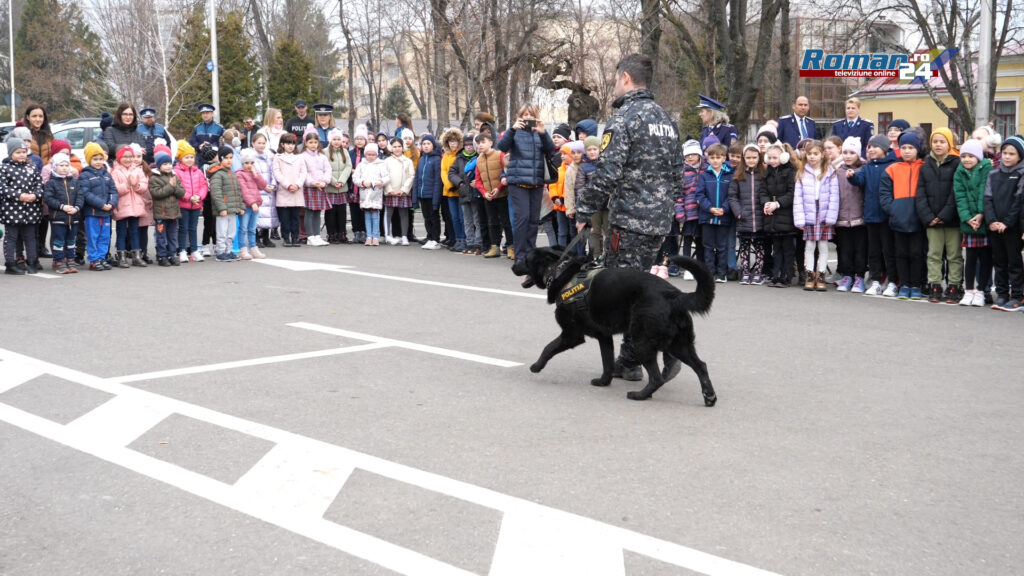 P1043114.00_01_02_02.Still001