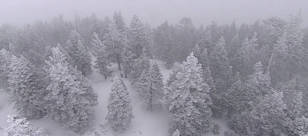 337710525_642051021081668_3196223550768500978_n