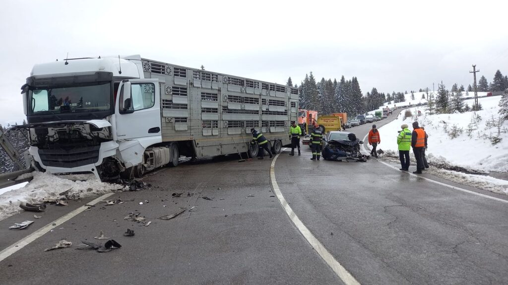 339306664_1972858403051389_6118342579035441260_n