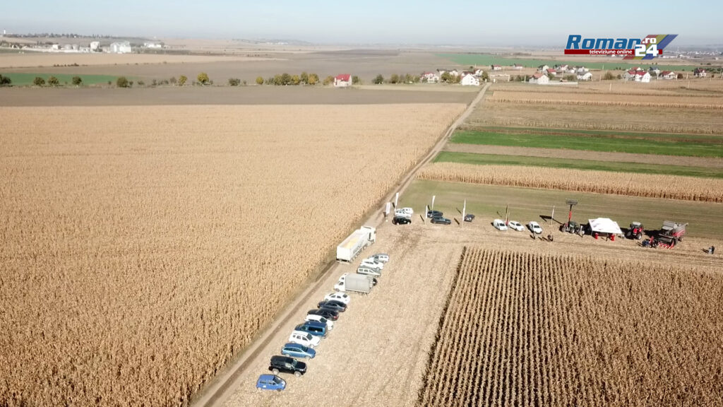 P1043236.00_00_36_44.Still001