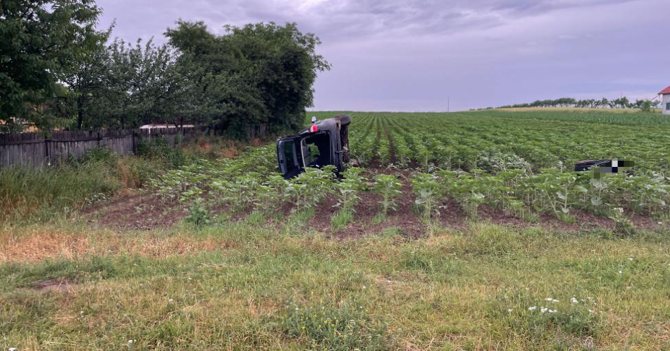 2023-06-19 at 12-24-25