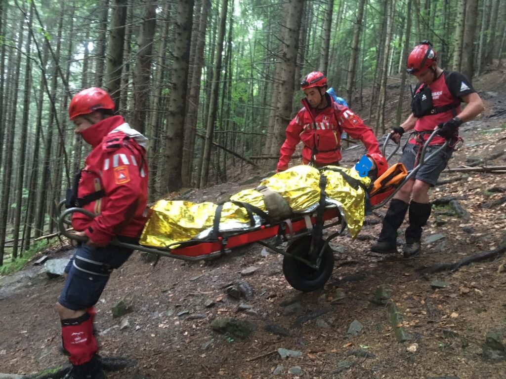 347434362_744999807631836_319768423328365369_n