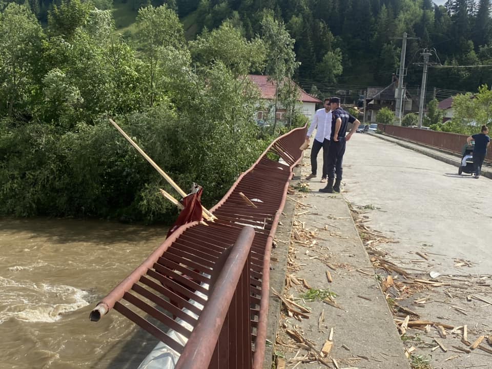 360087790_10232337528200434_7639826539061789548_n