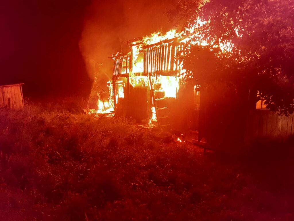 8cf96cae-abb4-4089-a5a1-43461906353a