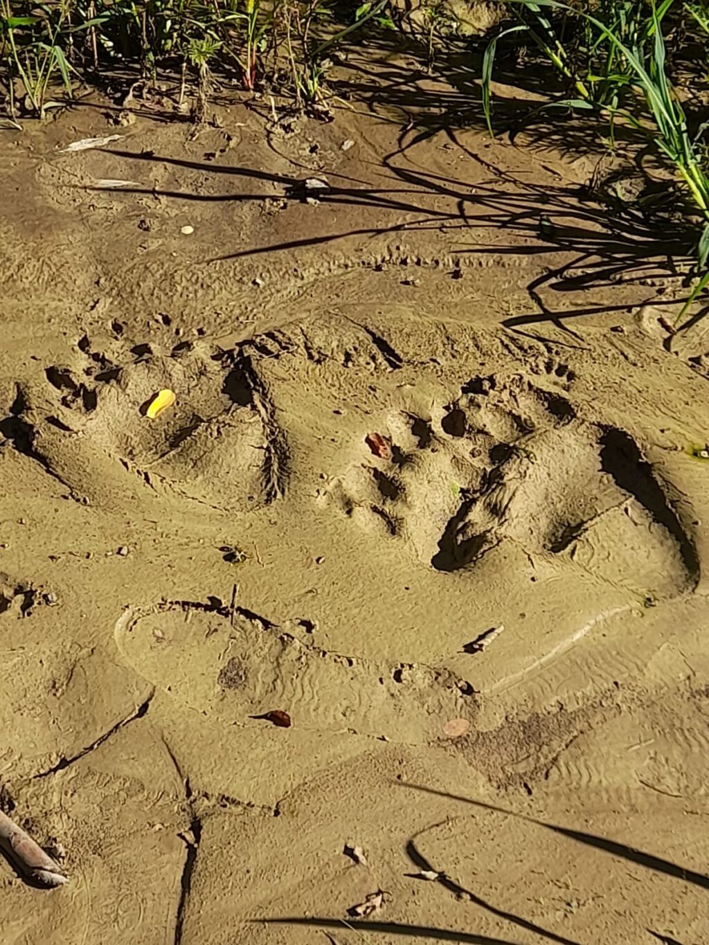 365255864_6030868953683791_7319954559172147908_n