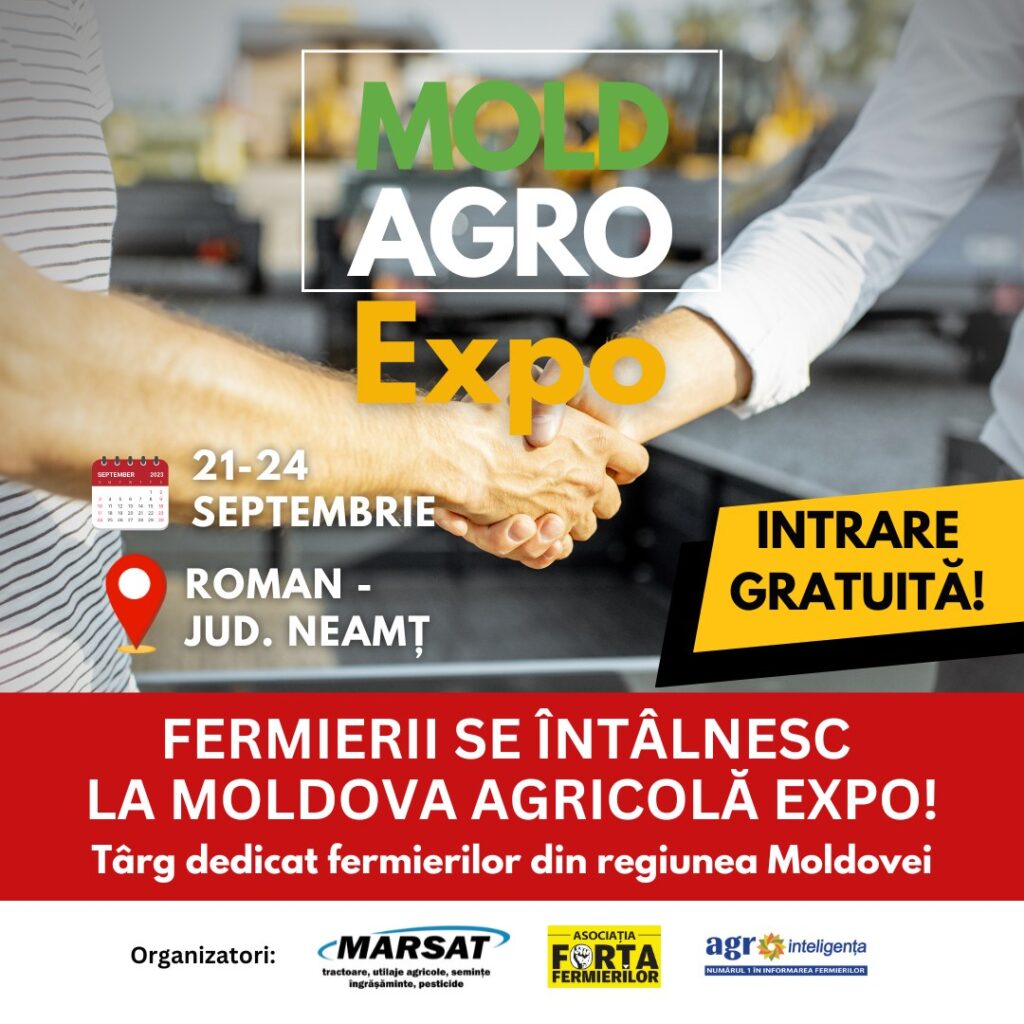 377501095_10160490297013190_9005614698500079521_n