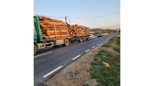 TIR încărcat cu lemne confiscat în Ion Creangă