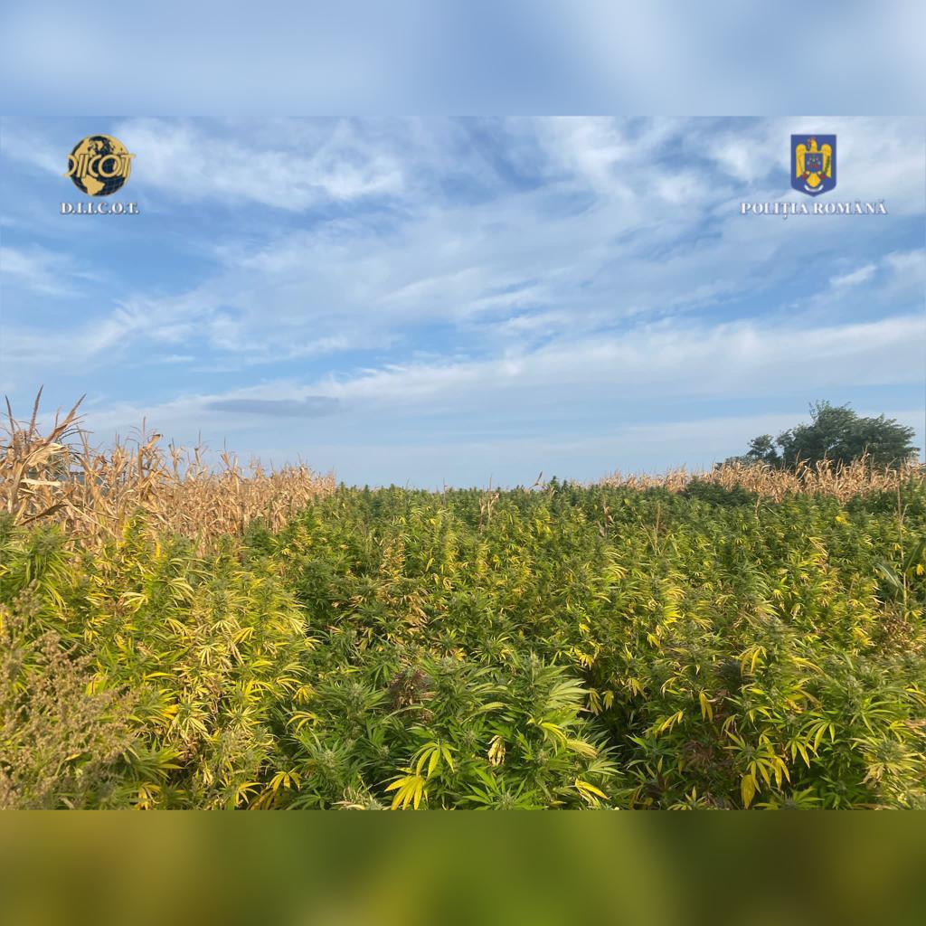 2899797d-92a3-464c-b733-e78a6ccfeec4